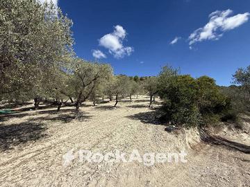 TERRENO AGRICOLO LOC. SANTA BARBARA,SORSO