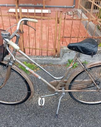 Bicicletta donna ruote 26