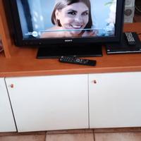 televisore Sony Bravia 24 pollici con telecomando 