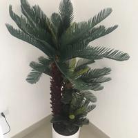Pianta artificiale Cycas