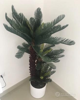 Pianta artificiale Cycas