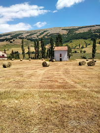 Casale con terreno annesso