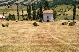 Casale con terreno annesso