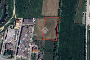 TER. AGRICOLO A CALDOGNO