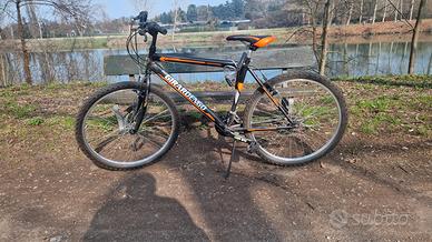 bicicletta mountain bike giramondo