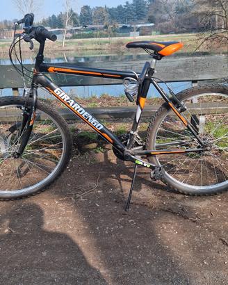 bicicletta mountain bike giramondo