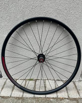 Ruota posteriore Specialized 622-21
