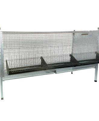 Maxi Pulcinaia per Pollastrelli