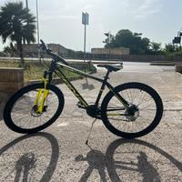 Carnielli 780