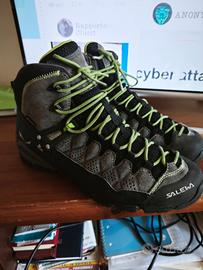 salewa 45 MD alp GTX 