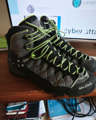 salewa 45 MD alp GTX 