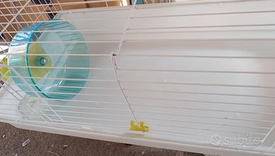 Gabbia per ricci, furetti, gatto etc