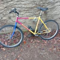 bici da uomo mountain bike