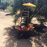 Carretto in legno e contenitore in mettalo.