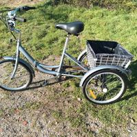 Bicicletta triciclo 