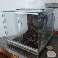 Teca in cristallo per rettili