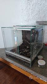 Teca in cristallo per rettili
