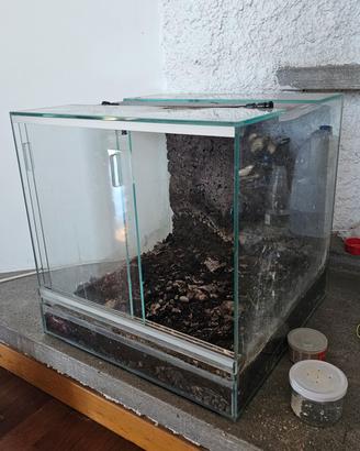 Teca in cristallo per rettili