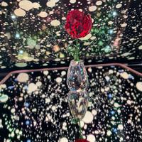 Soprammobili in Swarovski