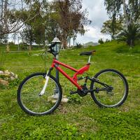 Bici (Fratelli a due ruote) prezzo trattabile 