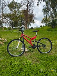 Bici (Fratelli a due ruote) prezzo trattabile 