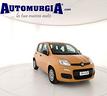 fiat-panda-1-0-firefly-s-s-hybrid-5-p-ti