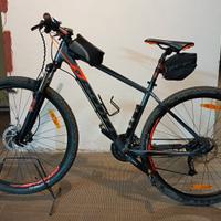 Scott 29