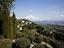 Immagine 8