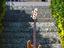 Immagine 5