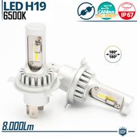 Lampadine FULL LED H19 Bianco Giaccio 8000L Canbus