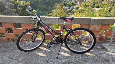 Bicicletta Frejus da ragazza – 24”