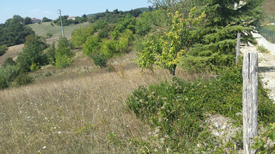 Terreno per villetta
