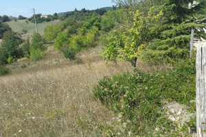 Terreno per villetta