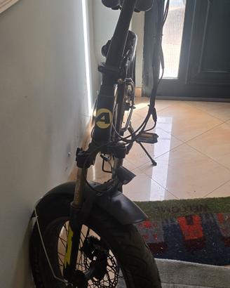 Fat bike atala