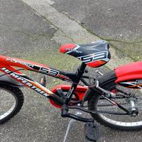 Bicicletta 20
