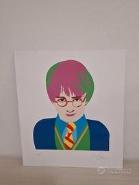 marco lodola, serigrafia materica harry Potter 