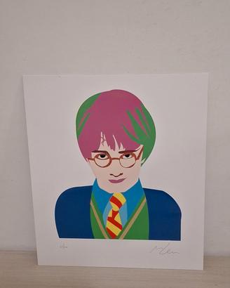 marco lodola, serigrafia materica harry Potter 