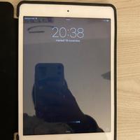 iPad A1455