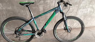 Bicicletta ragazzo 