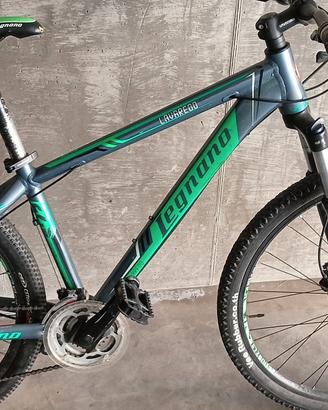 Bicicletta ragazzo 