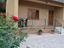 Immagine 11