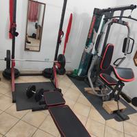 palestra semiprofessionale Weider