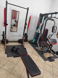 palestra semiprofessionale Weider