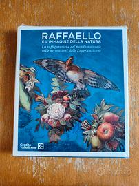 Raffaello e l'immagine della natura 