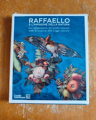 Raffaello e l'immagine della natura 