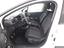 Immagine 9