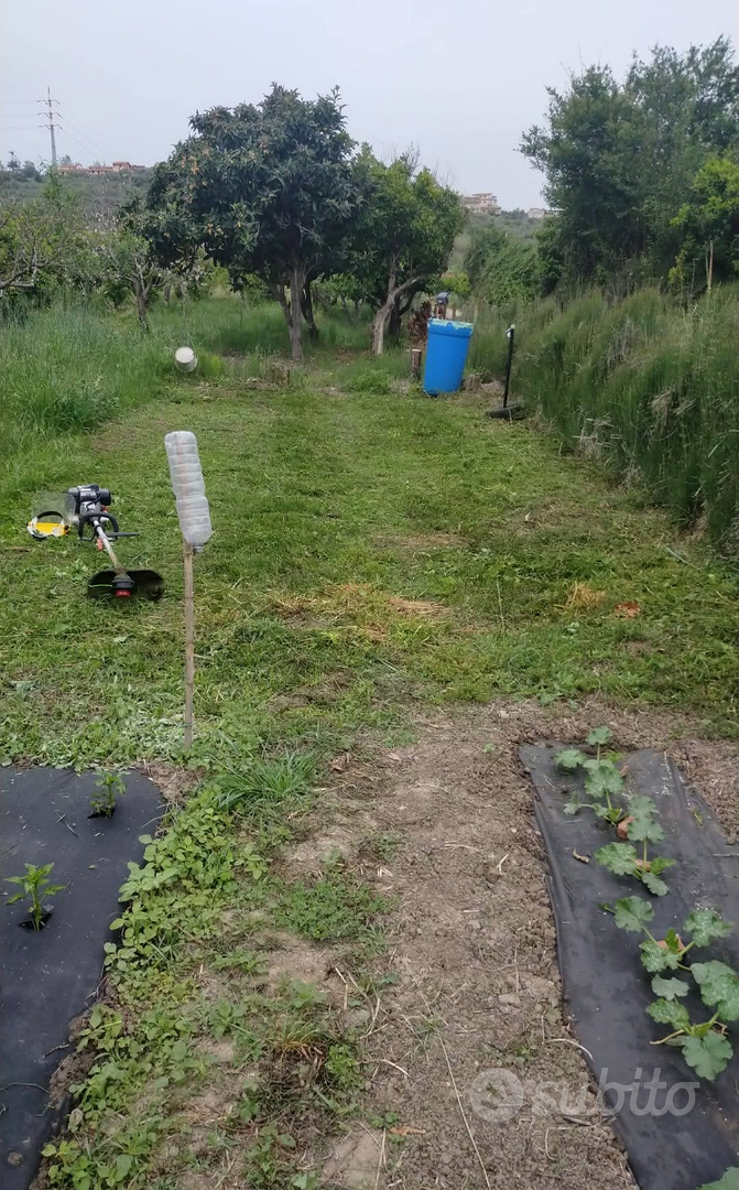 Terreno con deposito/casetta catastato - Vista 5