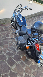 Honda Shado 750 cc