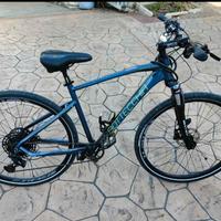 bici ibrida