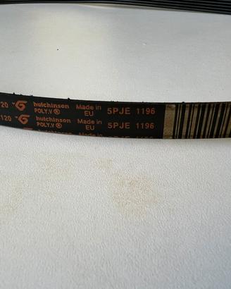 Cinghia Lavatrice Rex Electrolux